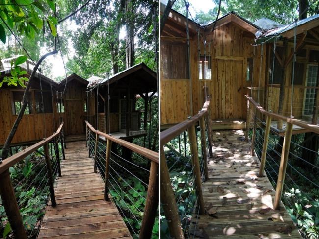 Regenwald Costa Rica-Ansiedlung Privater Rückzug-Ort Wald