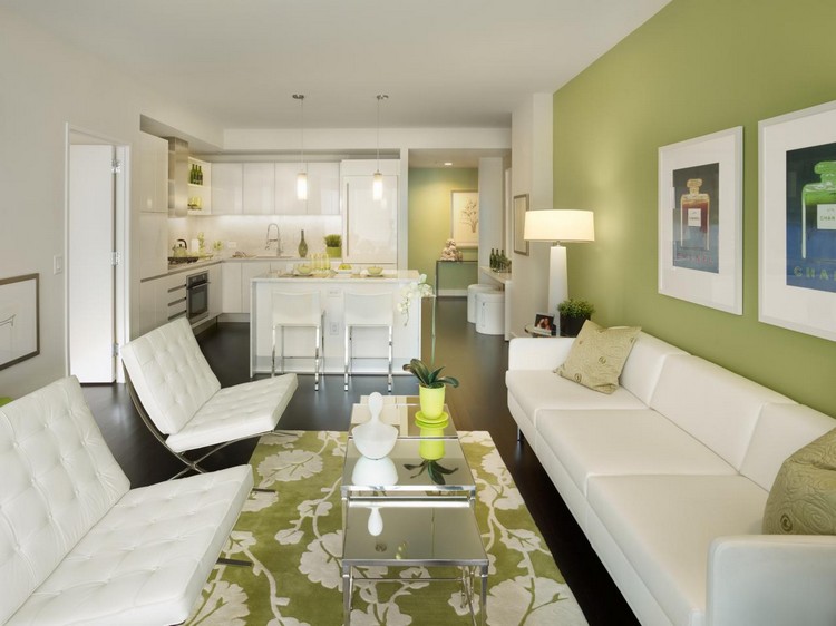 Wohnzimmer und Küche in einem apfelgruen-weiss-farbpalette
