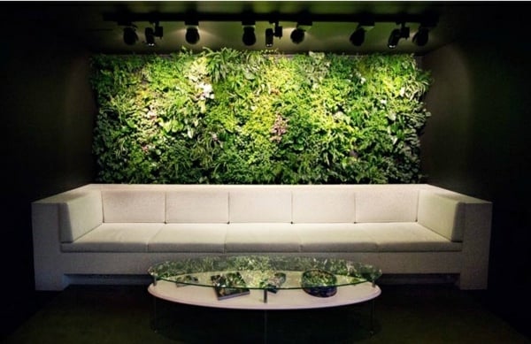 Wohnzimmer bepflanzten Wand Zimmerpflanzen ausstellen kreative Deko Ideen