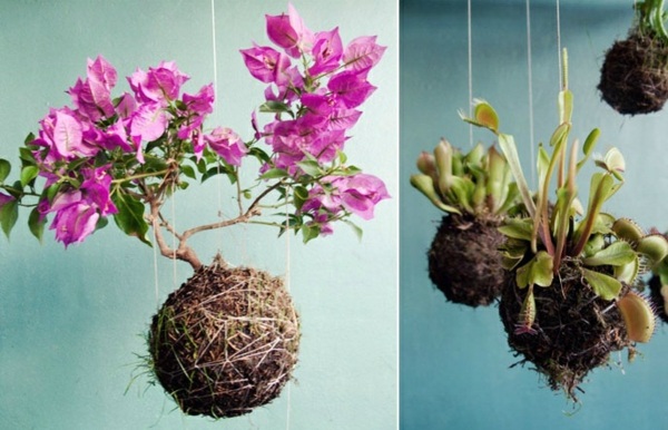 coole Blumentöpfe geflochten Haus Deko Zimmerpflanzen Orchideen