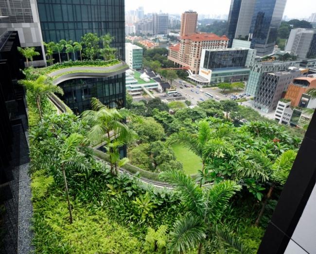 dachterrasse exotisch parkroyal hotel design in singapur