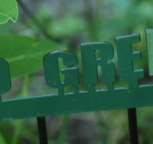 go-green-zehn-tipps-für-grün-leben