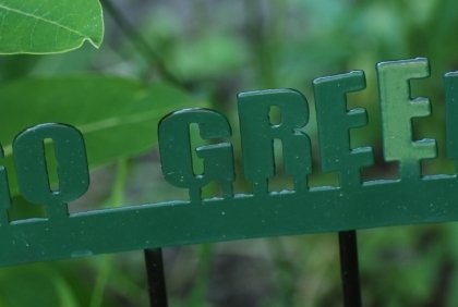 go-green-zehn-tipps-für-grün-leben