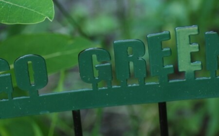 go-green-zehn-tipps-für-grün-leben