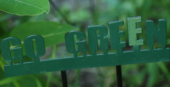 go green zehn tipps für grüne lebensweise