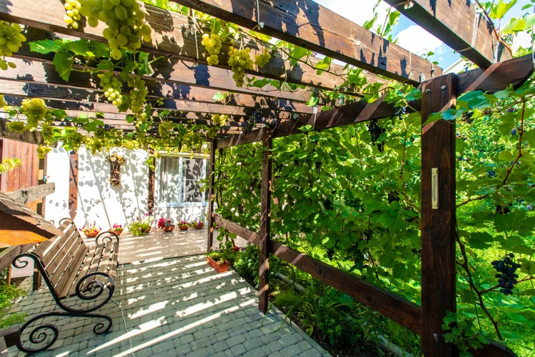 holz pergola mit bepflanzung als sonnenschutz im garten