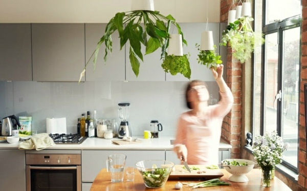 moderne Küche Zimmerpflanzen hängend Deko graue Küchenschränke Design