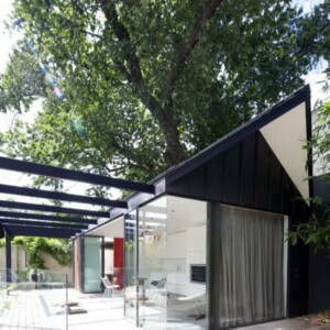 modernes-Poolhaus-Design-schatten-ulme-baum-glaswände