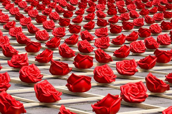 tausend rosen für zweibrücken kunststoff rosen art installation