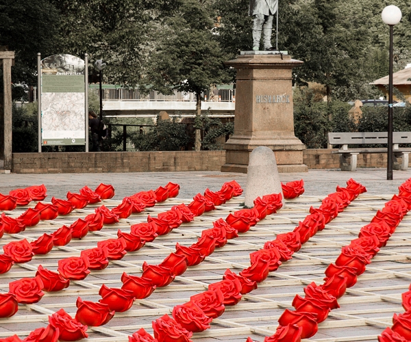 zweibrücken-deutschland-tausend-rote-rosen-kunststoff-gitter-