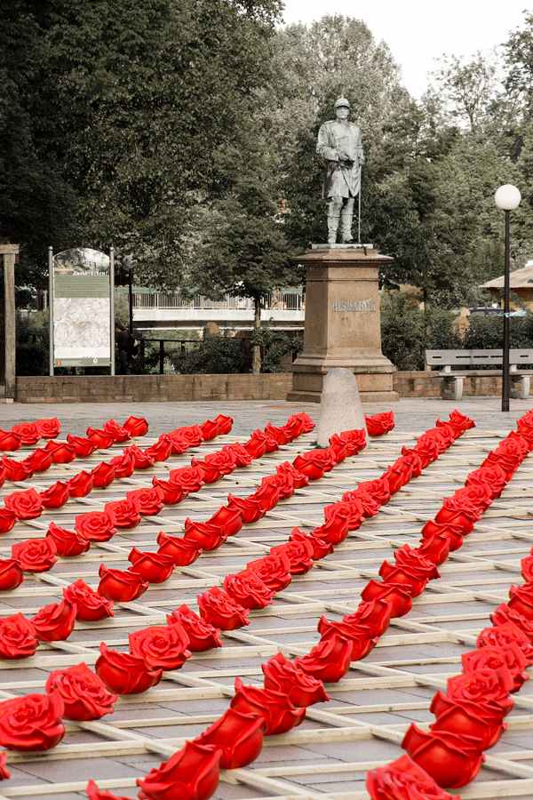 zweibrücken deutschland tausend rote rosen kunststoff gitter 