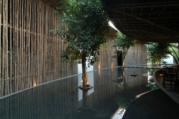 Bambus Sichtschutz Pool Bäume Design