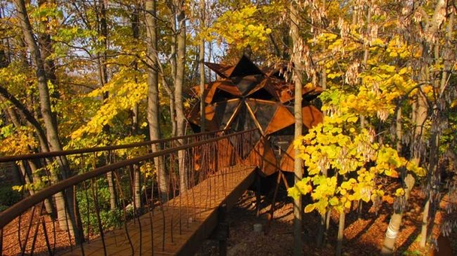 Baumhaus Holzbrücke Copper-Nest im Wald bauen