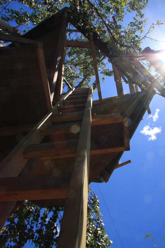 Baumhaus Übernachtung-bauen TreeTower Leiter