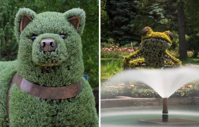 Botanischer Garten Arboretum-Montreal Wasserbrunnen Skulptur-Hund Frosch 