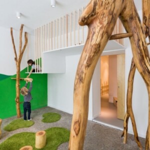 Einrichtung Kindergarten-Kitabau Modern-Baum Kletterstange-Dekoelement