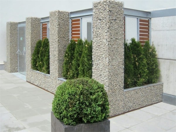 Gabione Garten Mauer selber bauenimmergrüne Pflanzen Töpfe