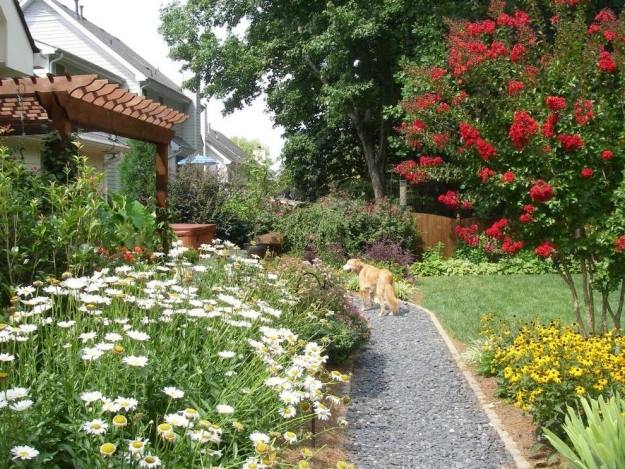 Garten Bepflanzung Hund-Haustier-sicher freundlich Gartenweg