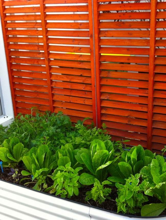 Garten Sichtschutz-Outdoor Dusche-Sukkulenten Kakteen-anpflanzen