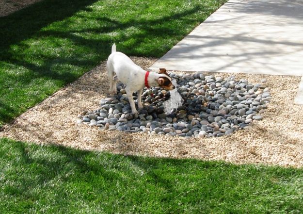 Gartenbrunnen Hundespaß-Garantieren im Garten Ideen