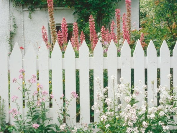 Holzzaun weiß Blumen Sichtschutz sicherstellen
