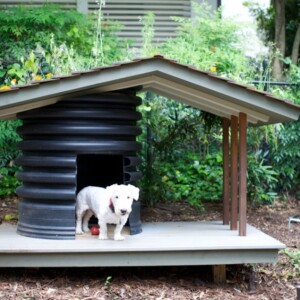 Hundehütte Design-Garten Gestalten-haustier sicher