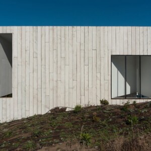 Kubus-Haus am Hang-modern Holz Verkleidet helle Fassade