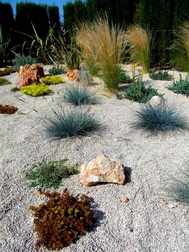 Mediterrane Gartenlandschaft-Ziergras anbauen Steingarten anlegen