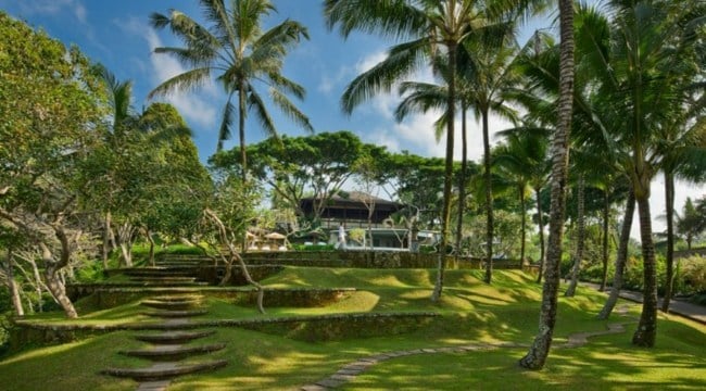  Luxus Bali Insel Garten Palmen