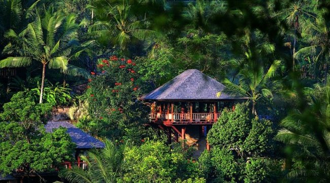 Insel Dschungel Holz Haus