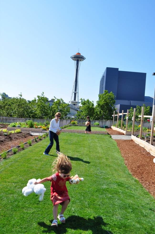 Urban Gardening Seattle Usa Modern-Garten Dachterrasse