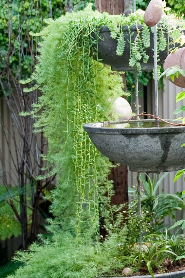 Vertikale Gartengestaltung-Wasserbrunnen Vögel-anlocken Ideen