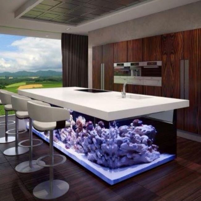 aquarien-ideen-küche-eingebaut-glas-kücheninsel