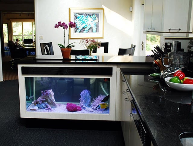 aquarium gestaltungsideen küche unterschrank integriert