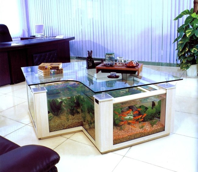aquarium integriert couchtisch glasplatte