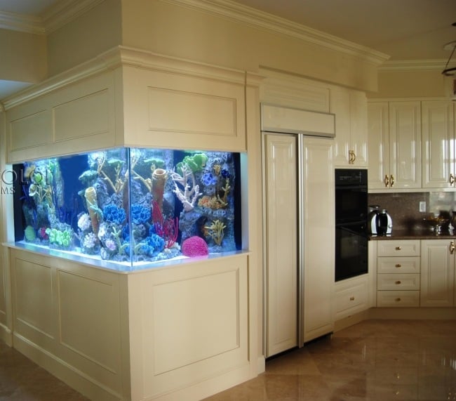 aquarium design küche eingebaut korallen deko