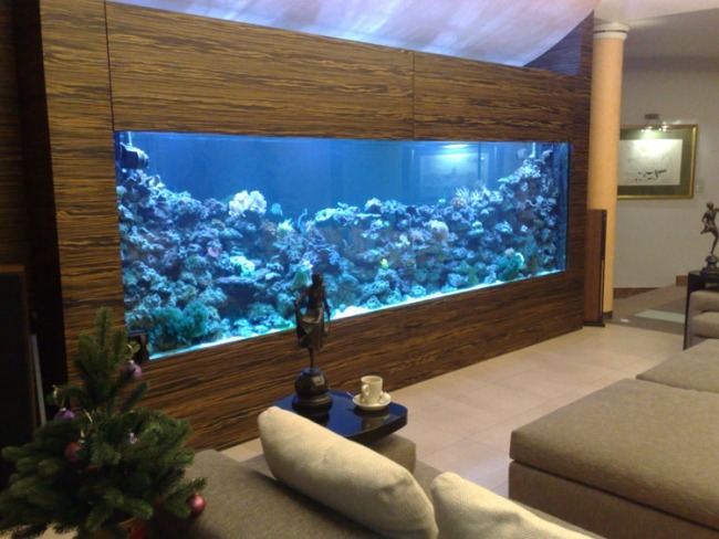 aquarium eingebaut schrank wohnzimmer blaue lampen