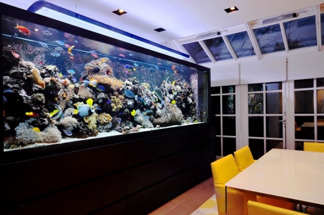 aquarium ideen esszimmer bunte fische korallen