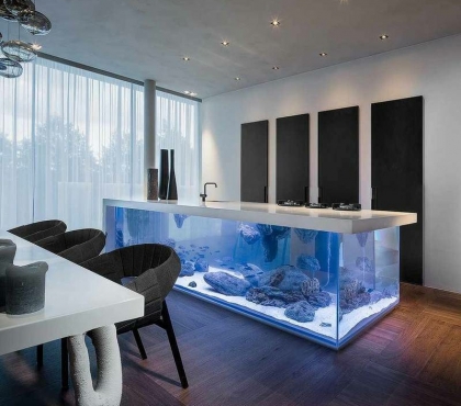 Aquarium Ideen 108 Designs Zum Integrieren In Der Wohnung