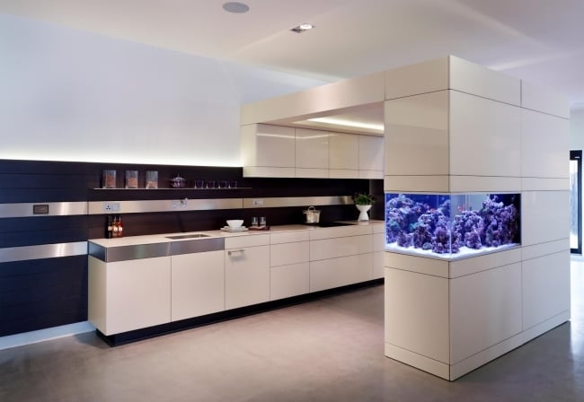 aquarium einrichtungstipps küche weiße schränke blaue lampen koralle