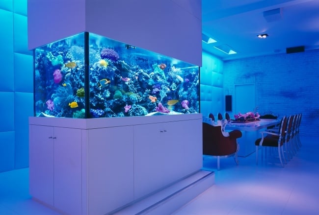 aquarium ideen moderne einrichtung blaue led leuchten essbereich