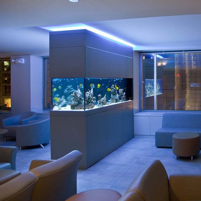 aquarium ideen raumteiler salzwasser einbauleuchten led blau