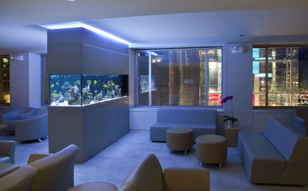 aquarium ideen schrank raumteiler ledermöbel blaue beleuchtung
