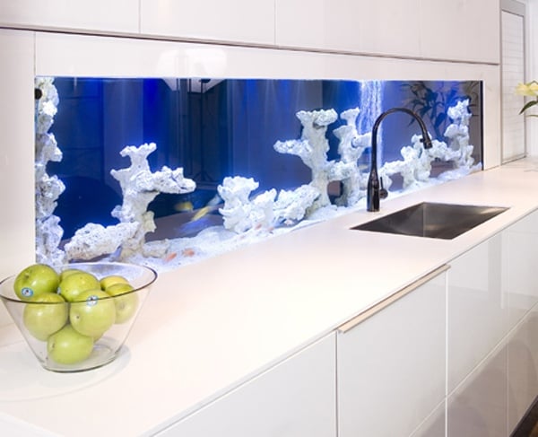 aquarium küche fliesenspiegel weiße korallen schränke
