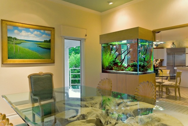 aquarium natürliche deko wasserpflanzen esstisch treibholz