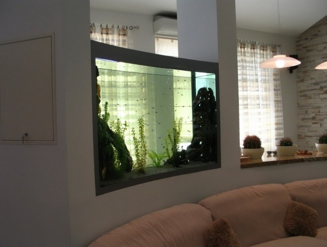 aquarium wand integrieren raumteiler transparent