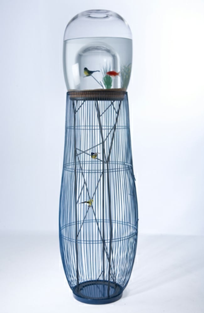 französische Designer Möbel Aquarium Vogelkäfig Wellensittiche