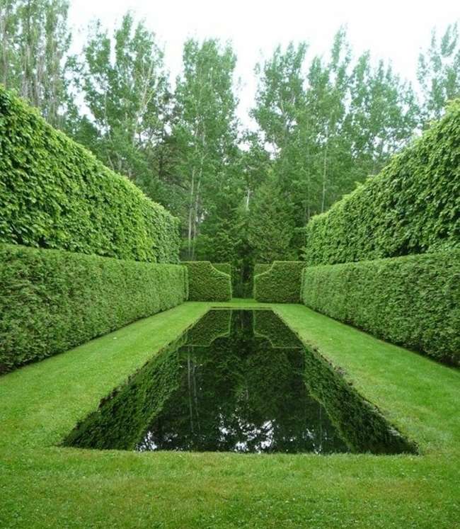 grüner englischer Garten gestalten Schwimmteich
