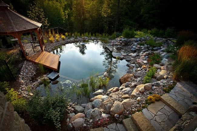 Kleingarten schöner Wasserspiegel Design Idee