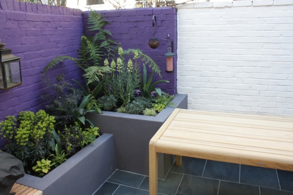 lila Gartenmauer moderne Dachterrasse 